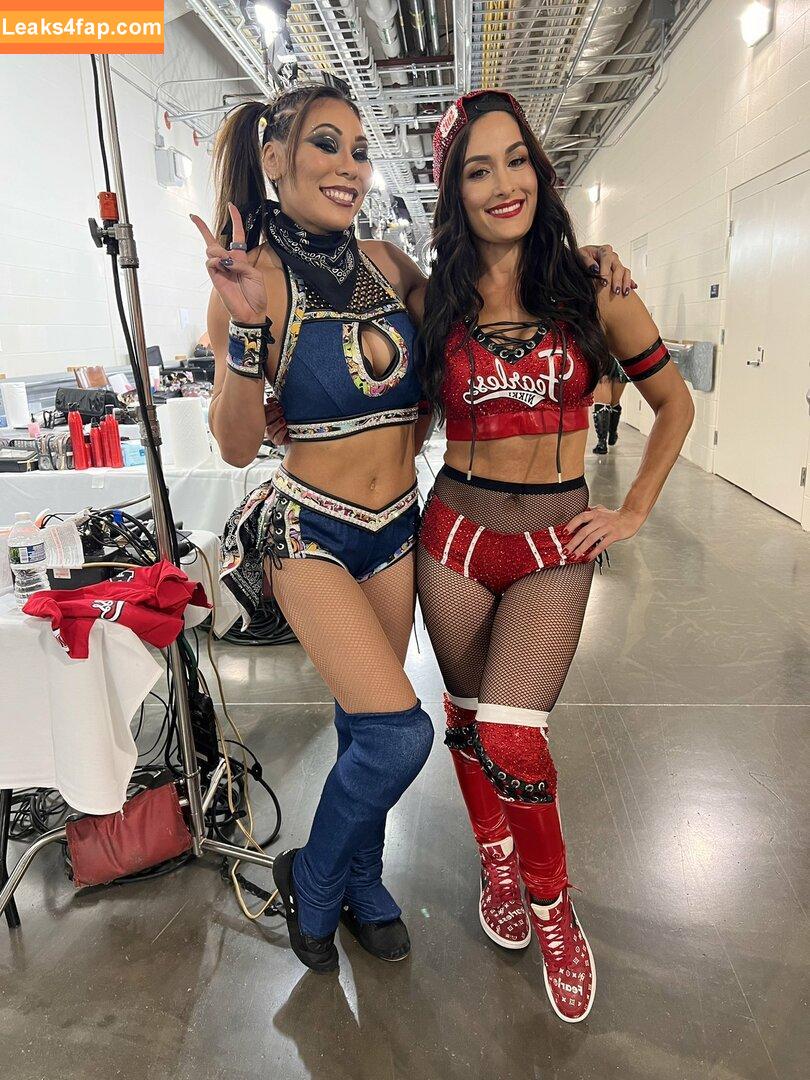The Bella Twins / Nikki Bella & Brie Bella / thenikkibella слитое фото фото #0510