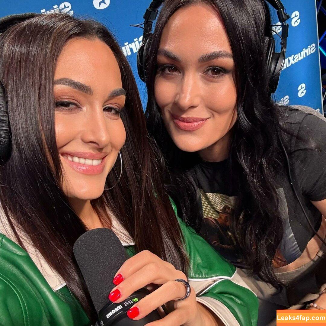 The Bella Twins / Nikki Bella & Brie Bella / thenikkibella leaked photo photo #0541