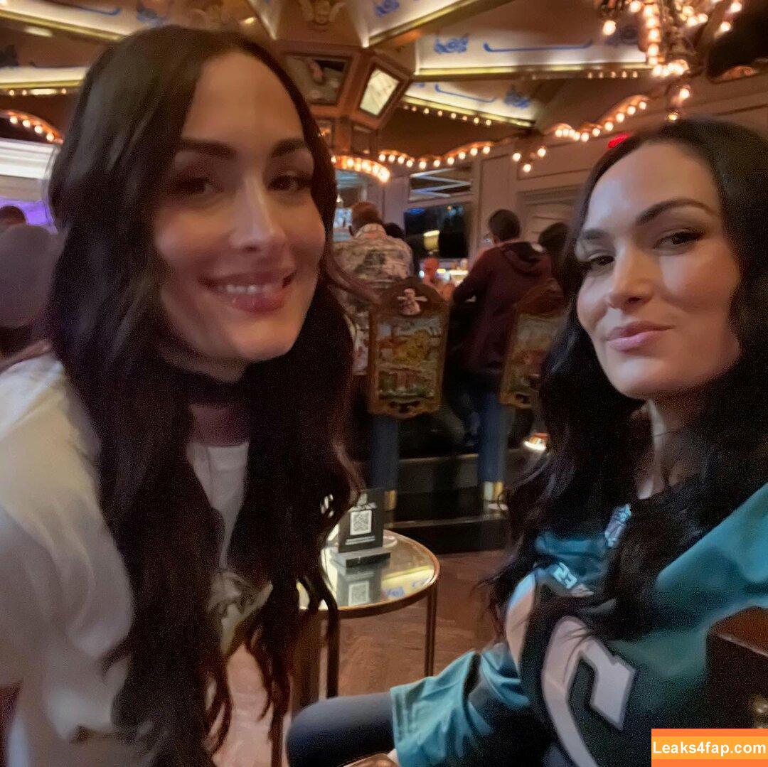 The Bella Twins / Nikki Bella & Brie Bella / thenikkibella leaked photo photo #0546