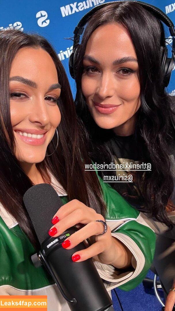 The Bella Twins / Nikki Bella & Brie Bella / thenikkibella leaked photo photo #0548