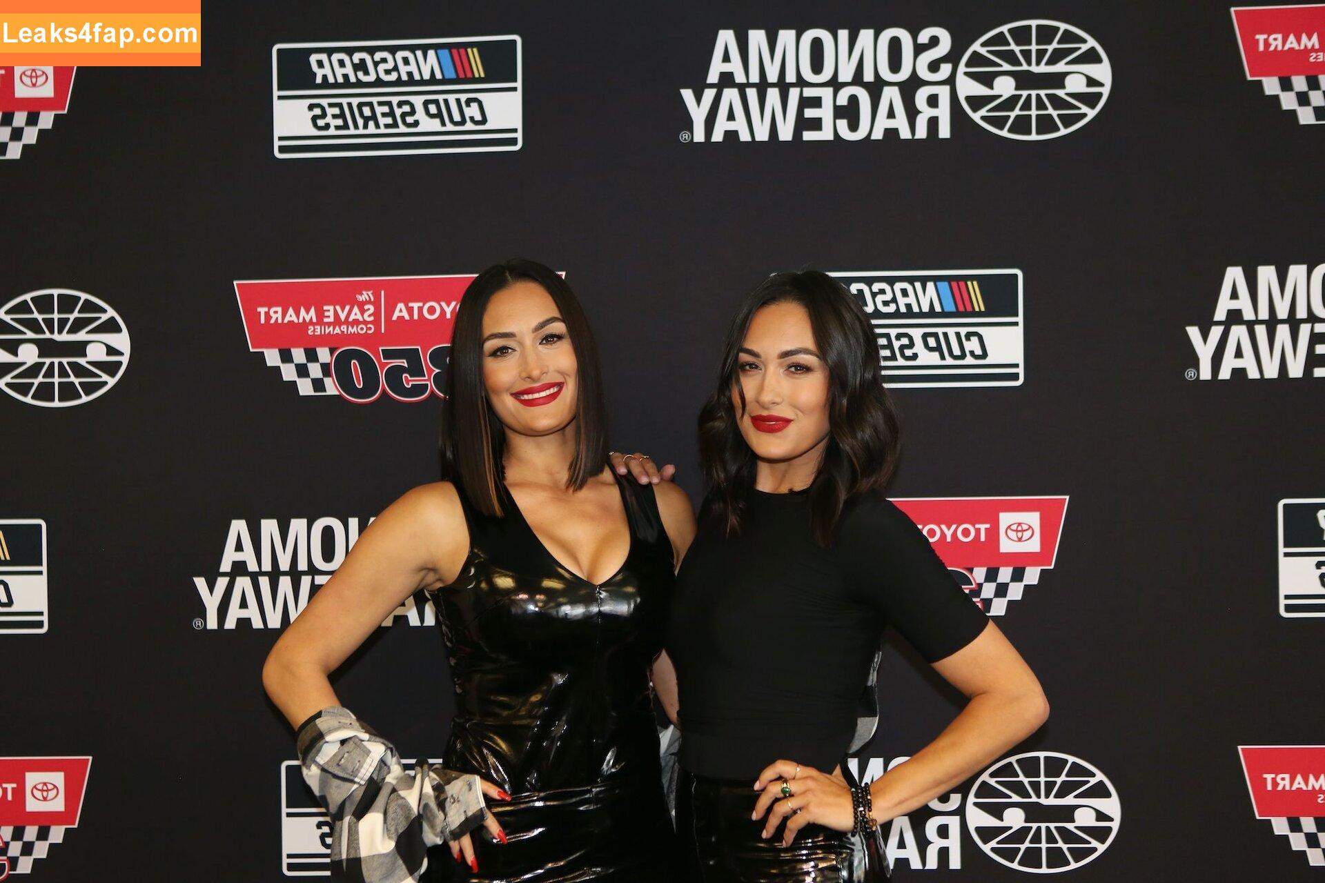 The Bella Twins / Nikki Bella & Brie Bella / thenikkibella слитое фото фото #0572