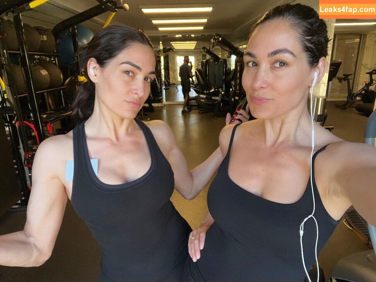 The Bella Twins / Nikki Bella & Brie Bella / thenikkibella leaked photo photo #0589