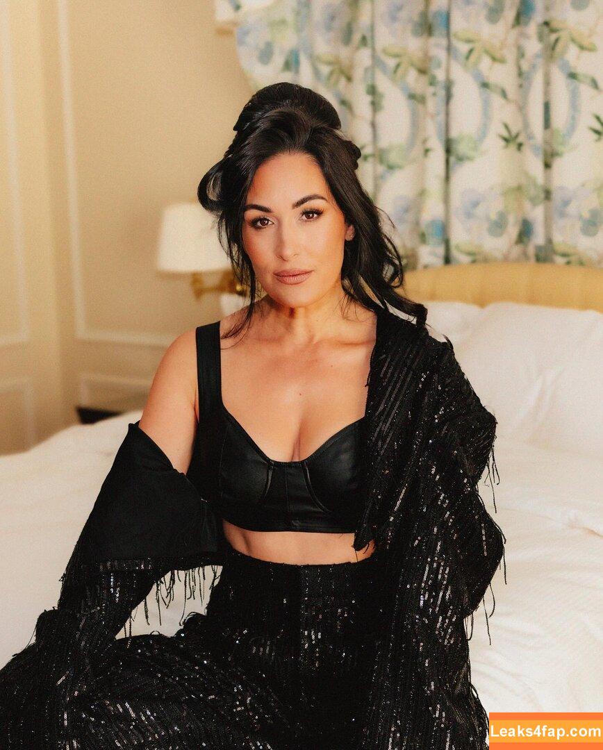 The Bella Twins / Nikki Bella & Brie Bella / thenikkibella слитое фото фото #0601