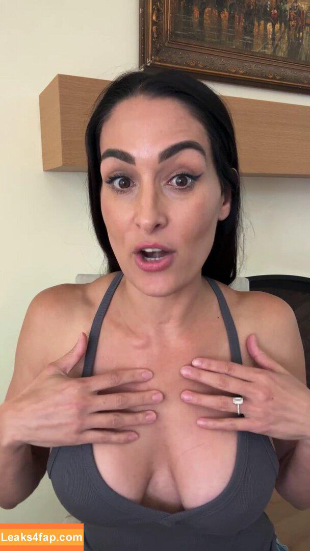 The Bella Twins / Nikki Bella & Brie Bella / thenikkibella leaked photo photo #0617
