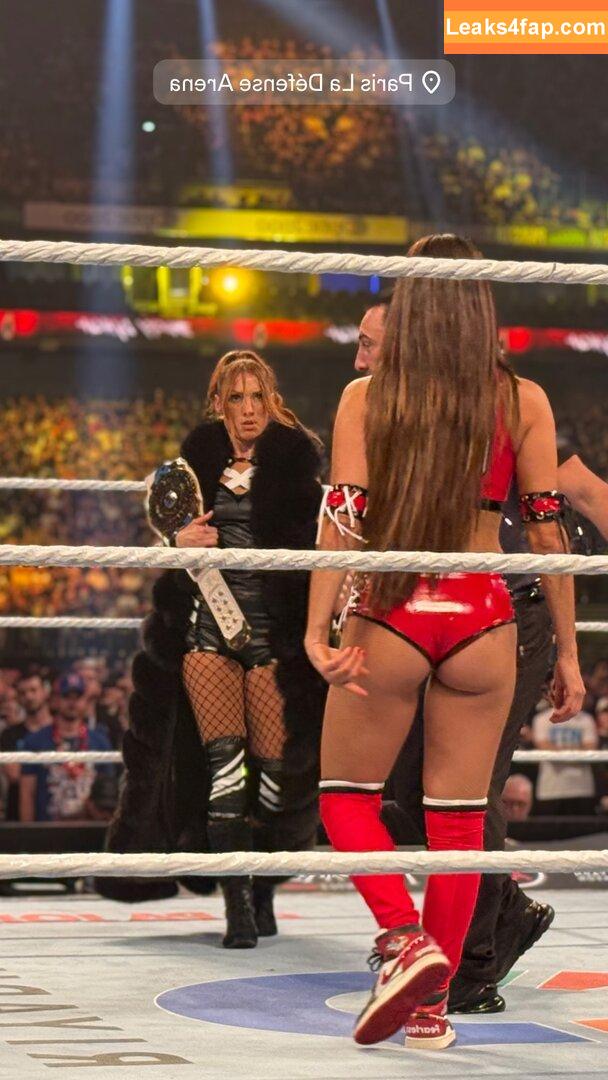 The Bella Twins / Nikki Bella & Brie Bella / thenikkibella leaked photo photo #0626