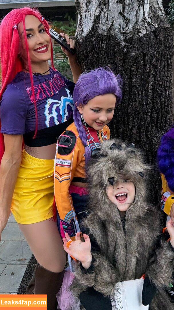 The Bella Twins / Nikki Bella & Brie Bella / thenikkibella leaked photo photo #0635