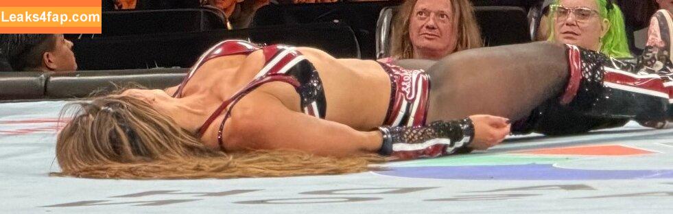 The Bella Twins / Nikki Bella & Brie Bella / thenikkibella leaked photo photo #0641