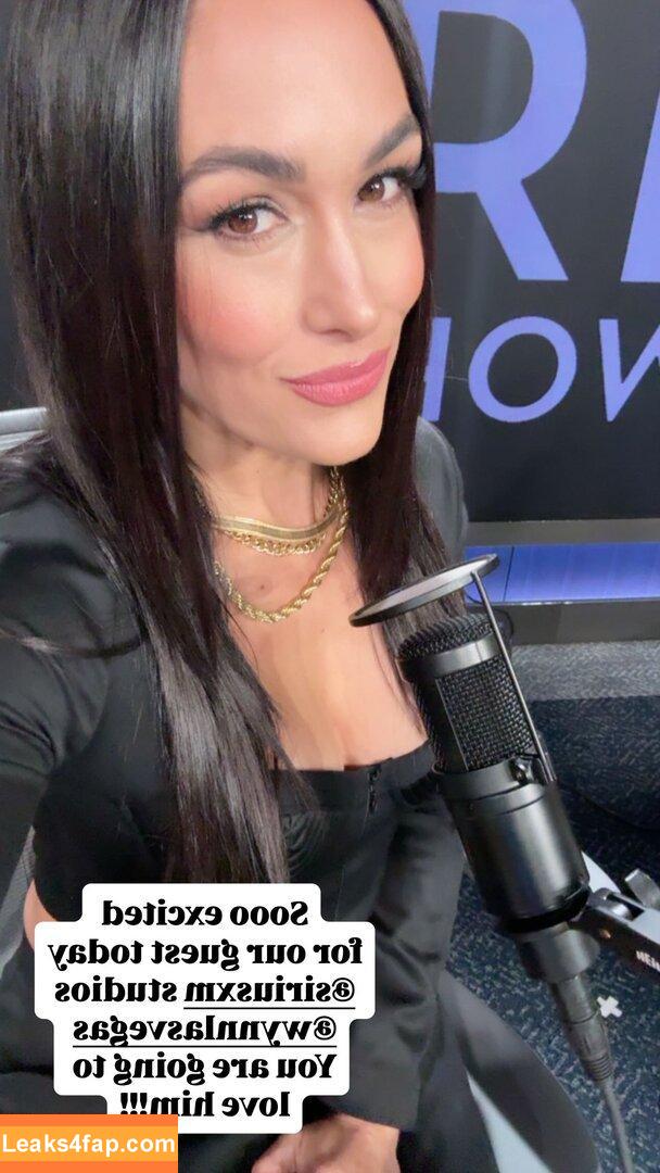 The Bella Twins / Nikki Bella & Brie Bella / thenikkibella leaked photo photo #0648