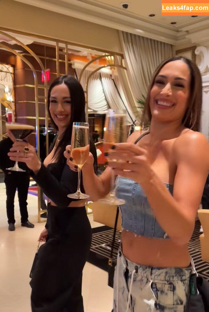 The Bella Twins / Nikki Bella & Brie Bella / thenikkibella leaked photo photo #0649
