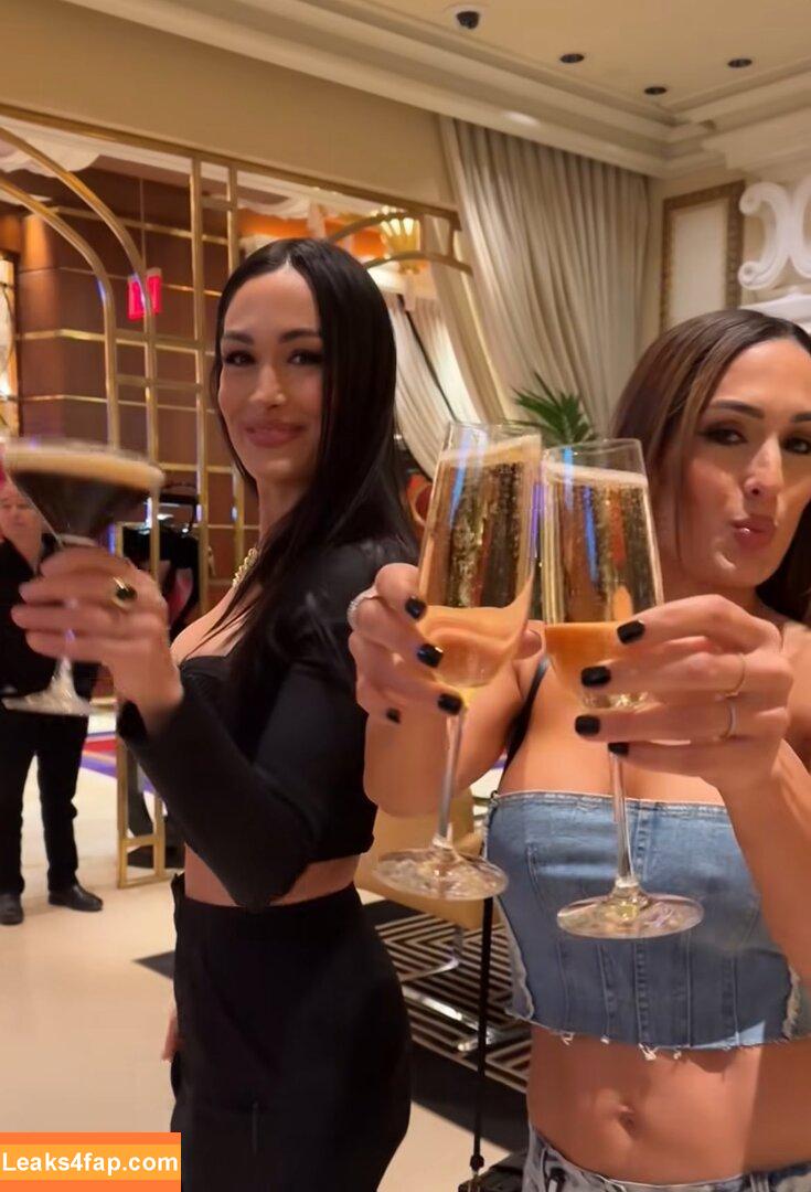 The Bella Twins / Nikki Bella & Brie Bella / thenikkibella leaked photo photo #0650