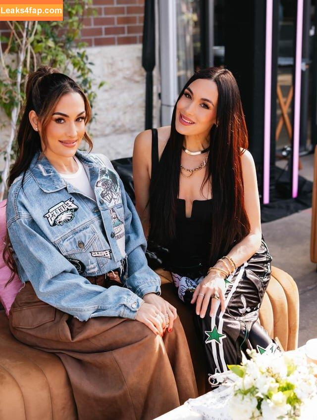 The Bella Twins / Nikki Bella & Brie Bella / thenikkibella leaked photo photo #0656
