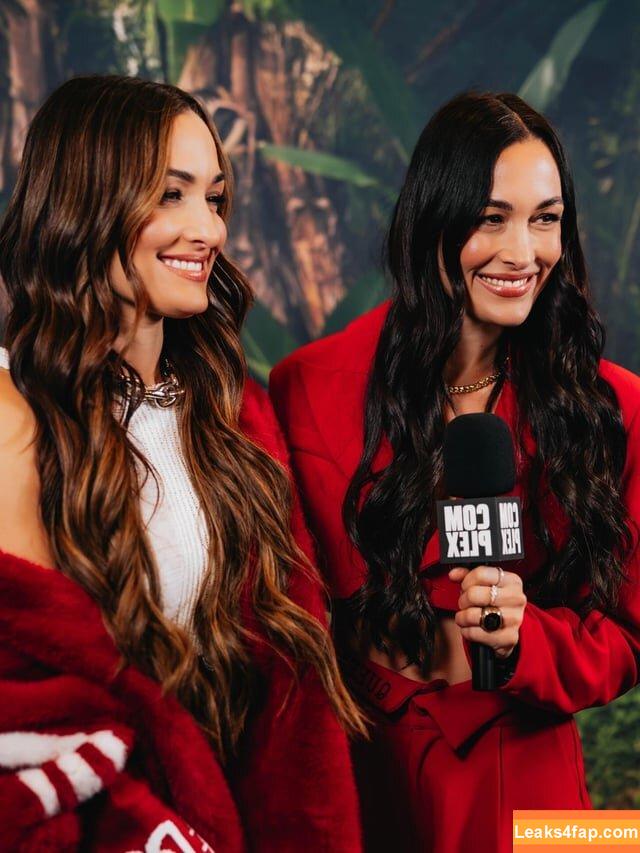 The Bella Twins / Nikki Bella & Brie Bella / thenikkibella leaked photo photo #0659