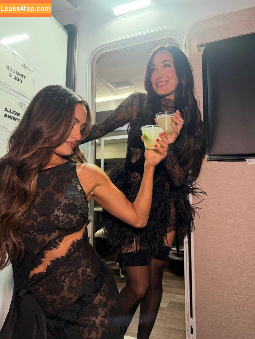The Bella Twins / Nikki Bella & Brie Bella / thenikkibella leaked photo photo #0664
