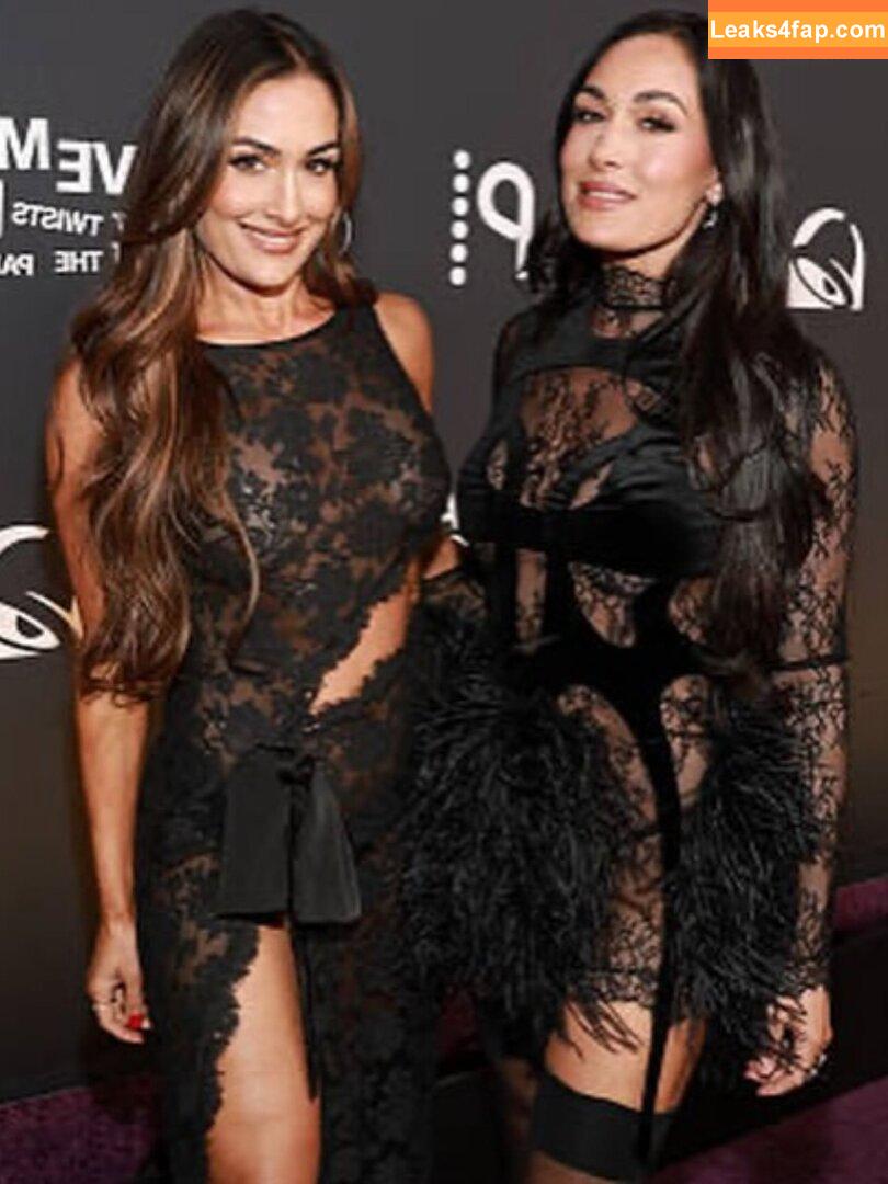 The Bella Twins / Nikki Bella & Brie Bella / thenikkibella leaked photo photo #0666