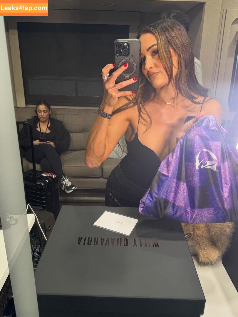 The Bella Twins / Nikki Bella & Brie Bella / thenikkibella leaked photo photo #0669