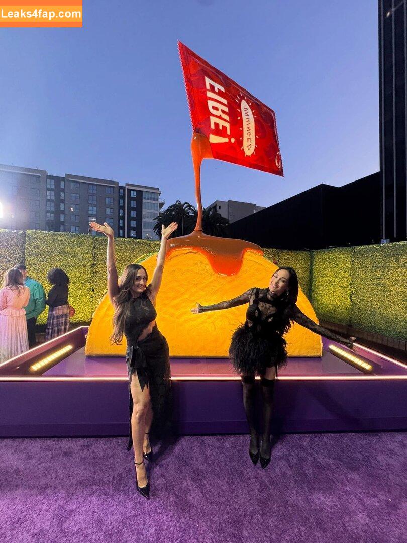 The Bella Twins / Nikki Bella & Brie Bella / thenikkibella leaked photo photo #0670