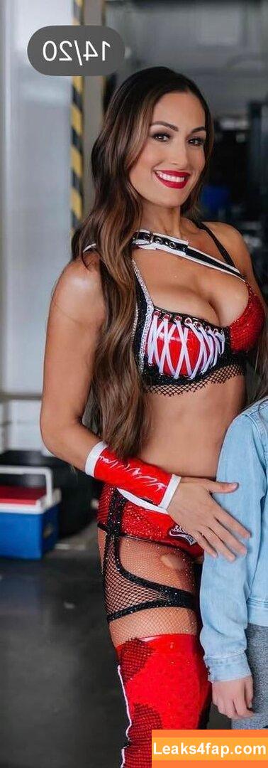 The Bella Twins / Nikki Bella & Brie Bella / thenikkibella leaked photo photo #0671