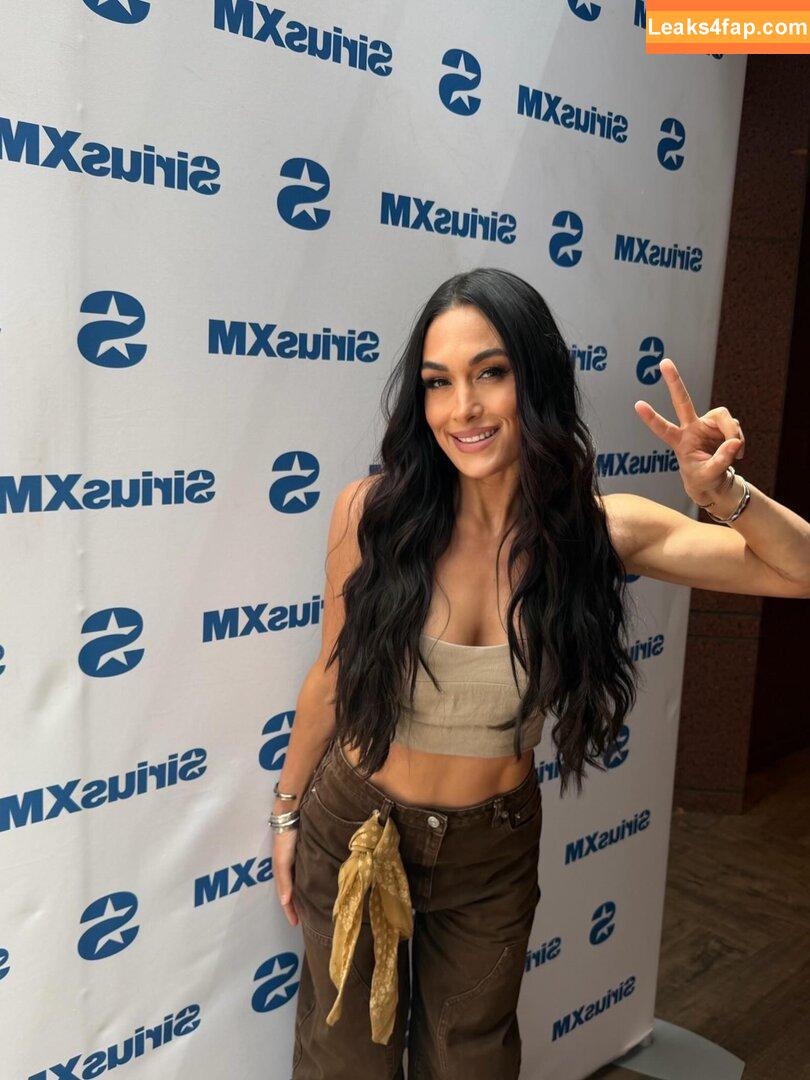 The Bella Twins / Nikki Bella & Brie Bella / thenikkibella слитое фото фото #0683