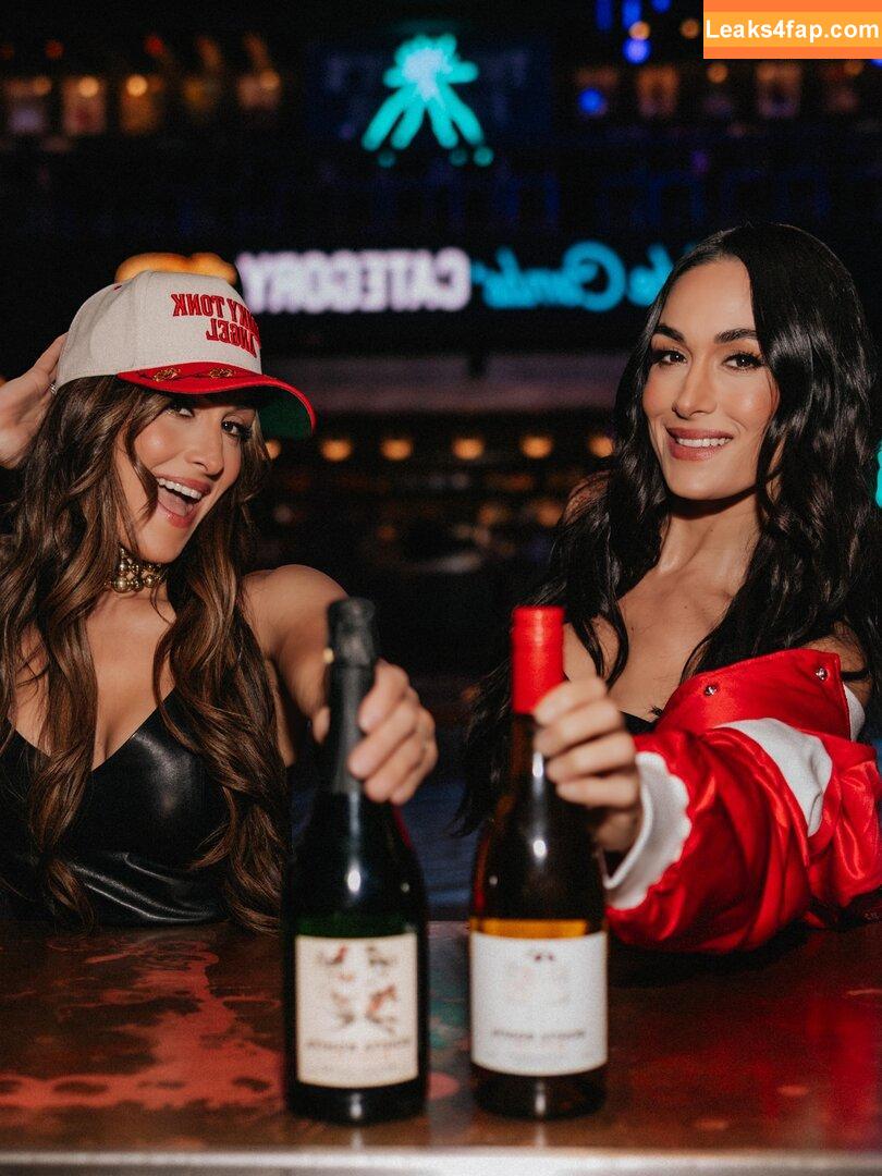 The Bella Twins / Nikki Bella & Brie Bella / thenikkibella слитое фото фото #0689