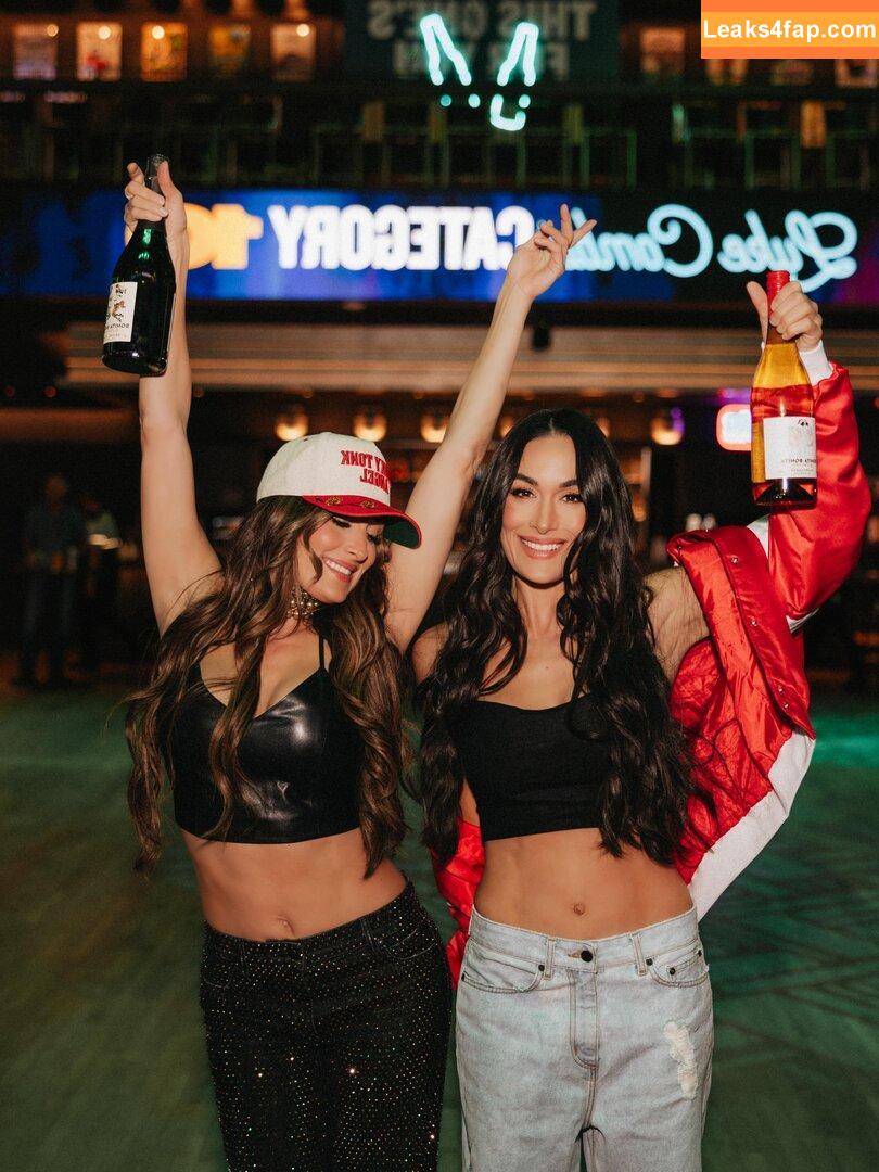 The Bella Twins / Nikki Bella & Brie Bella / thenikkibella слитое фото фото #0692