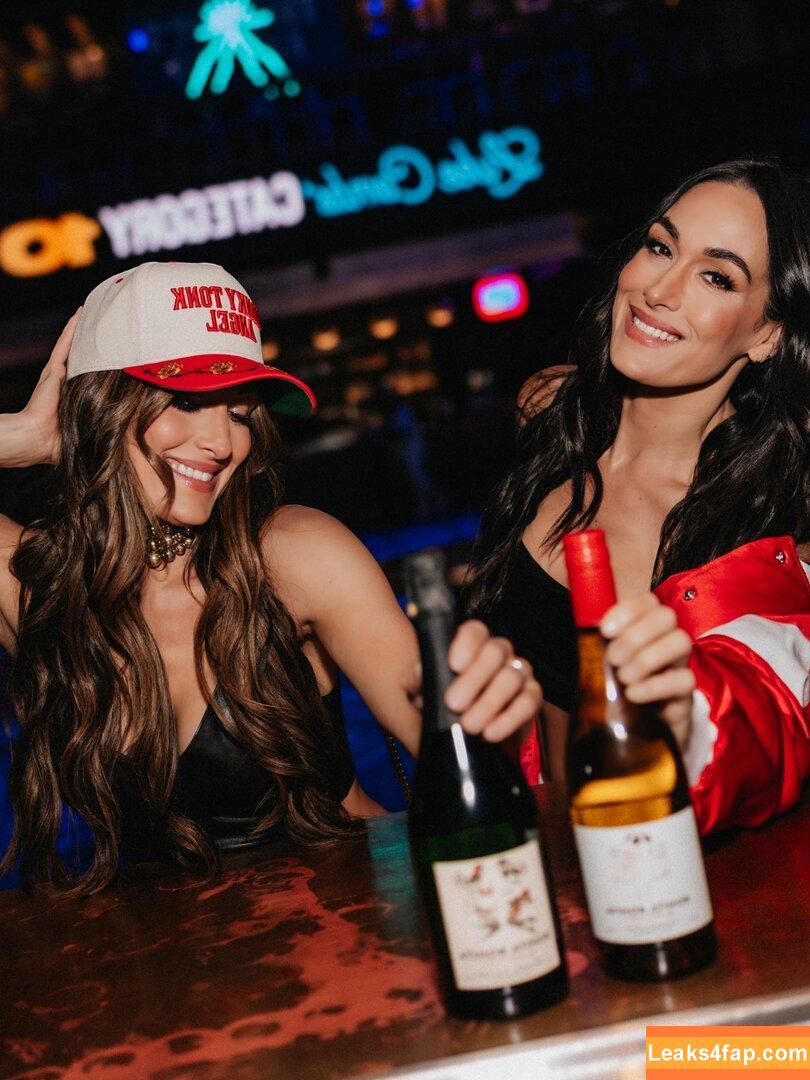 The Bella Twins / Nikki Bella & Brie Bella / thenikkibella слитое фото фото #0695