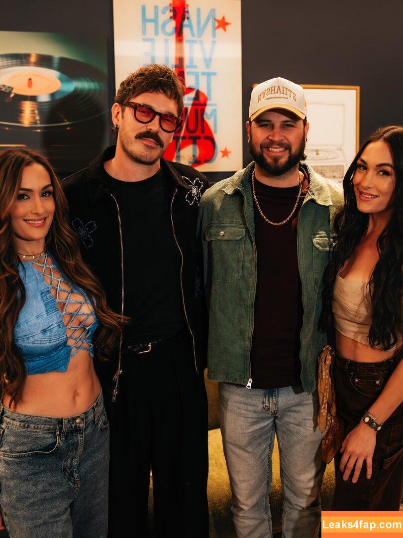 The Bella Twins / Nikki Bella & Brie Bella / thenikkibella слитое фото фото #0702
