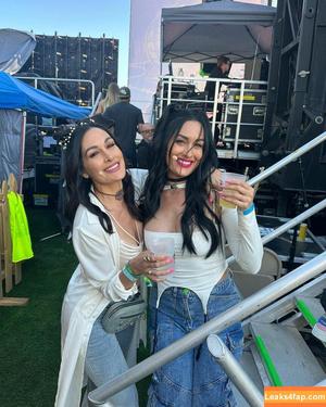 The Bella Twins фото #0120