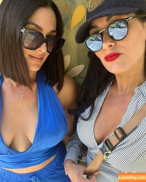 The Bella Twins фото #0363