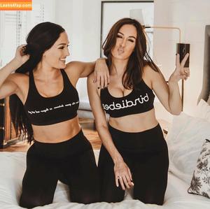 The Bella Twins фото #0403