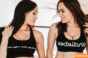 The Bella Twins photo #0404