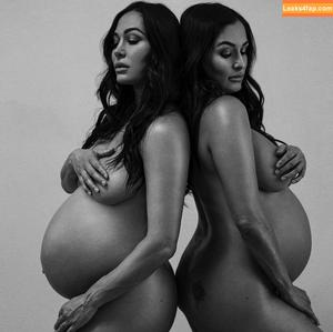 The Bella Twins фото #0413