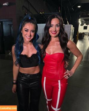 The Bella Twins фото #0495