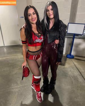 The Bella Twins фото #0511