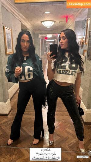 The Bella Twins фото #0520