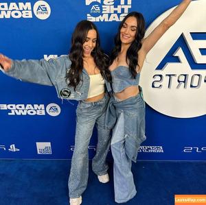 The Bella Twins photo #0545