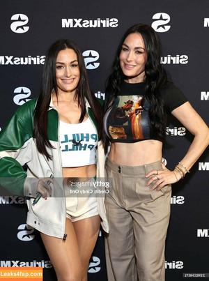 The Bella Twins photo #0553