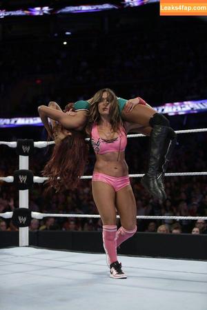 The Bella Twins photo #0578