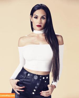 The Bella Twins photo #0583