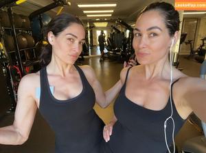 The Bella Twins photo #0589