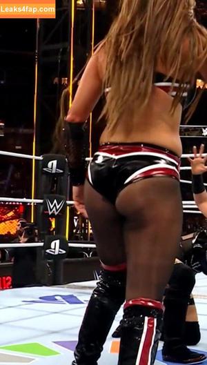 The Bella Twins photo #0637