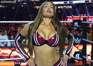 The Bella Twins photo #0639