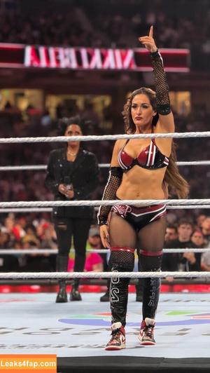 The Bella Twins photo #0640