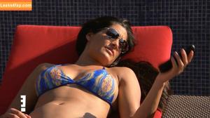 The Bella Twins photo #0645