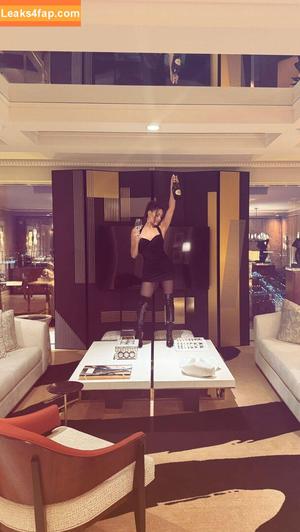 The Bella Twins photo #0652