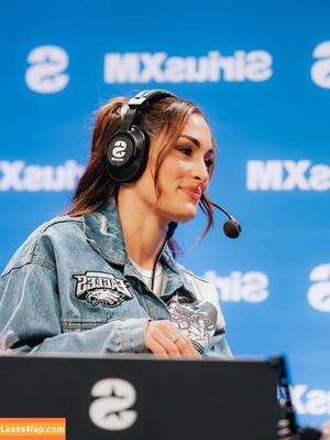 The Bella Twins photo #0658