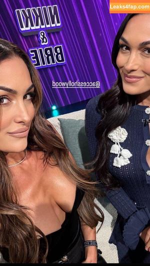 The Bella Twins photo #0661