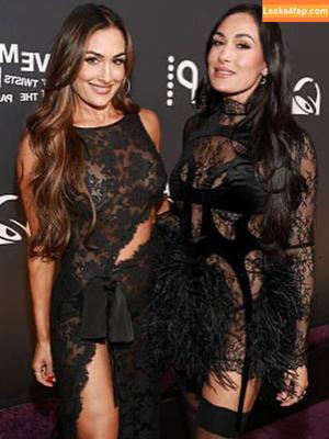The Bella Twins photo #0666