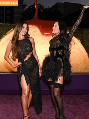 The Bella Twins photo #0668