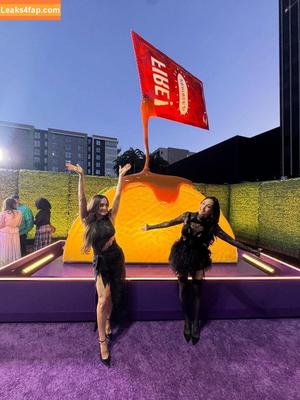 The Bella Twins photo #0670