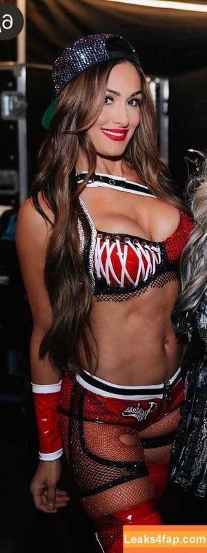 The Bella Twins photo #0675